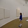 DSC 5564