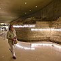 DSC 6163