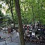 Fotos P8 29 Jun 2018 275