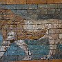 DSC 5040