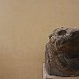 DSC 5041