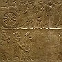 DSC 5045