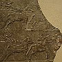 DSC 5047