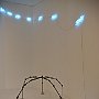 DSC 5578