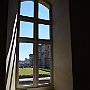 DSC 5984