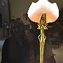 Fotos P10 29 Jun 2018 211