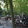 Fotos P8 29 Jun 2018 275