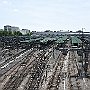 DSC 4506