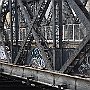 DSC 4512