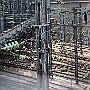 DSC 4513