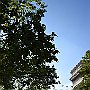 DSC 4737