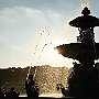 DSC 4810
