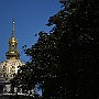 DSC 4880
