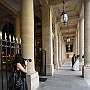 DSC 5131