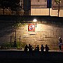 DSC 5186