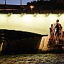 DSC 5221