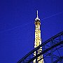 DSC 5231