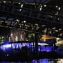 DSC 5283