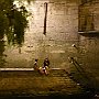 DSC 5286