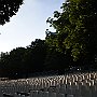 DSC 5444