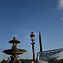 DSC 5447