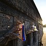 DSC 5457