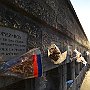 DSC 5461