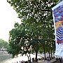 Fotos P11 30 Jun 2018 238