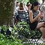 . : NY 29-6-2016