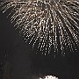 . : NY 444-7-2016