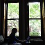 . : NY 2-7-2016