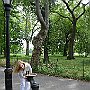 . : NY 3-7-2016