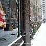 . : Fotos NYC 13 30 Dic 2017