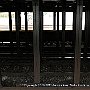 . : Fotos NYC 13 30 Dic 2017