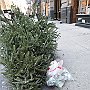 . : Fotos NYC 14 3 Ene 2017