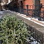 . : Fotos NYC 14 3 Ene 2017