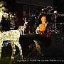 . : Fotos NYC 2 18 Dic 2017