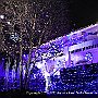 . : Fotos NYC 2 18 Dic 2017