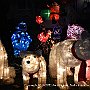 . : Fotos NYC 2 18 Dic 2017