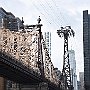 . : Fotos NYC 3 19 Dic 2017