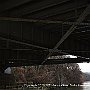 . : Fotos NYC 3 19 Dic 2017