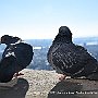 . : Fotos NYC 5 21 Dic 2017