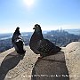 . : Fotos NYC 5 21 Dic 2017
