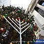 . : Fotos NYC 5 21 Dic 2017