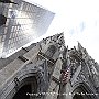 . : Fotos NYC 8 25 Dic 2017