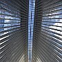 . : Fotos NYC 8 25 Dic 2017