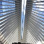 . : Fotos NYC 8 25 Dic 2017