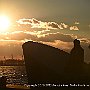 . : Fotos NYC 8 25 Dic 2017