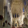 . : Fotos NYC 8 25 Dic 2017