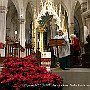 . : Fotos NYC 8 25 Dic 2017